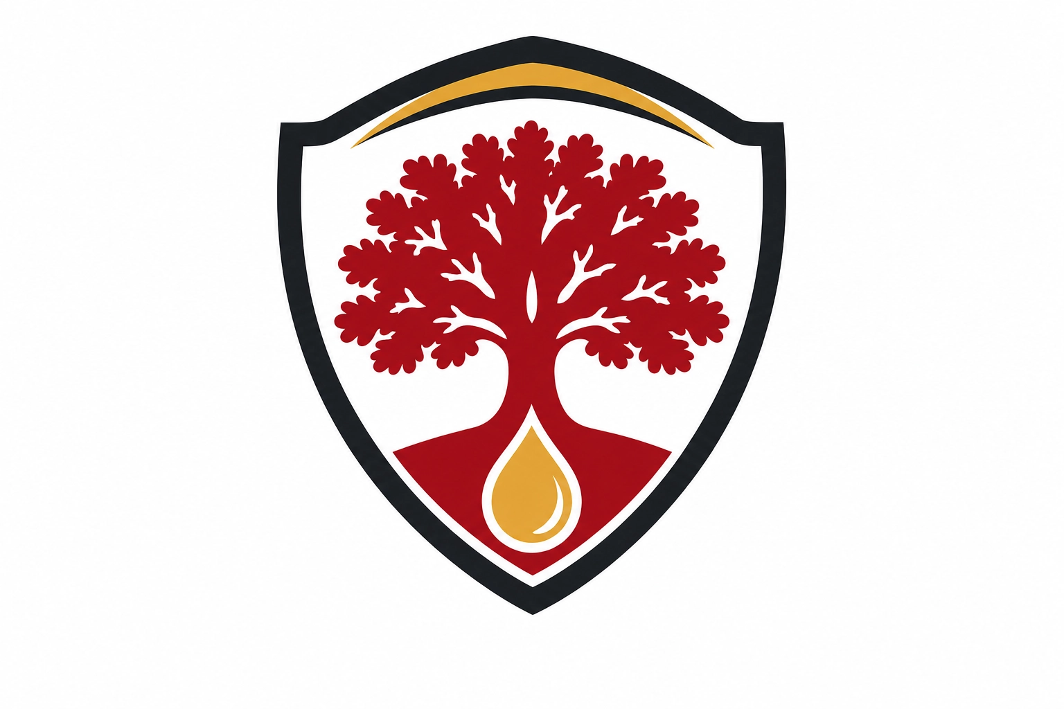 Druid City Restoration logo